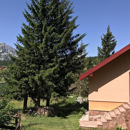 Durmitor Apartments Holiday Žabljak Exteriör bild