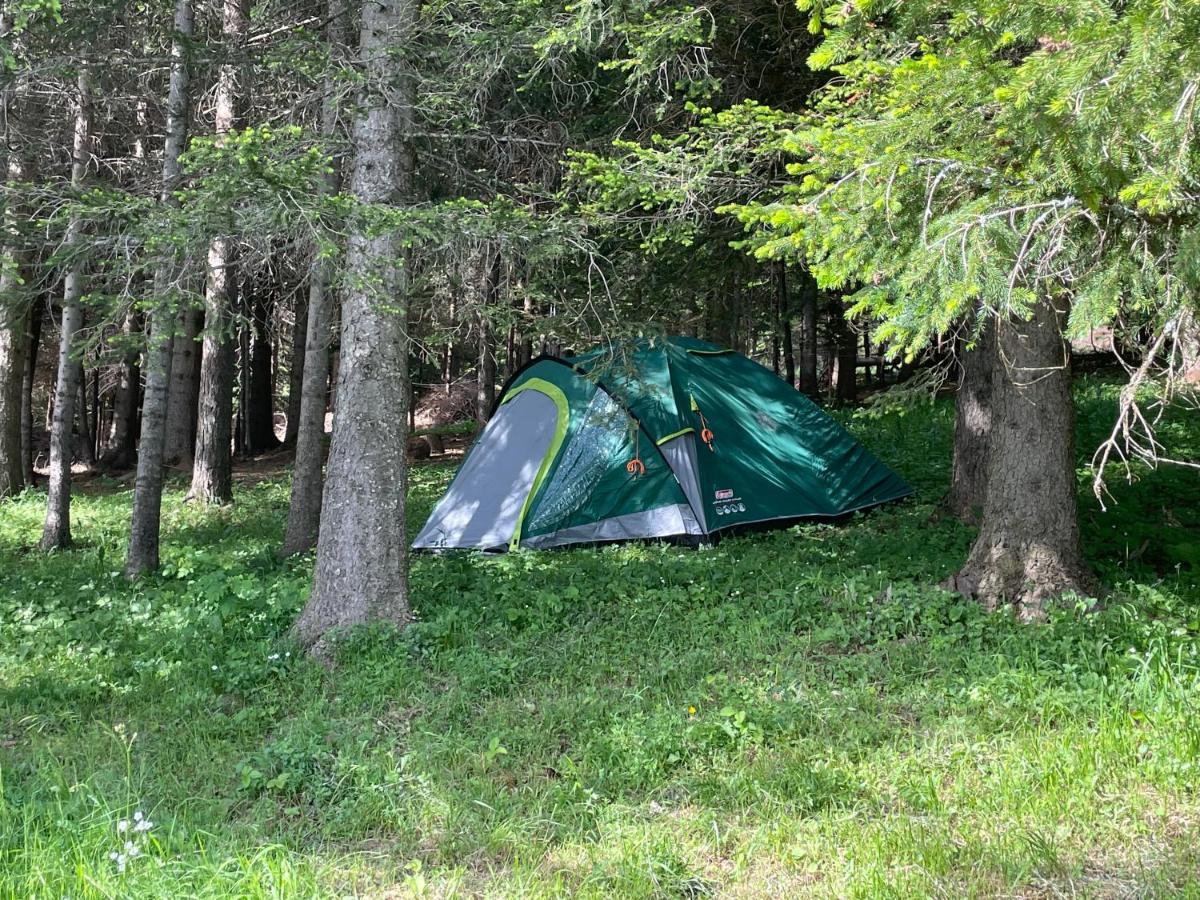 Durmitor Apartments Holiday Žabljak Exteriör bild