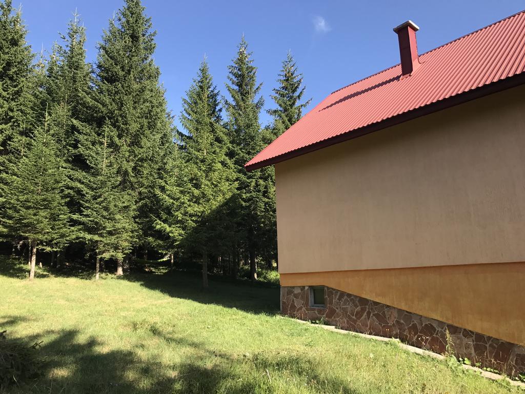 Durmitor Apartments Holiday Žabljak Exteriör bild